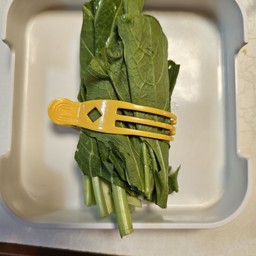 กวางตุ้งไทย