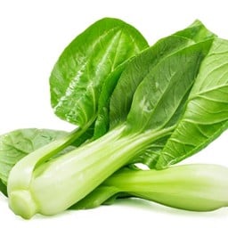 MENU_2892939ym_1724317702