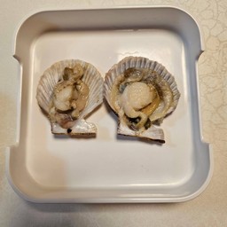 หอยเชลล์