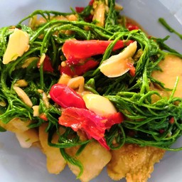 ผัดชะอมราดปลากะพงทอด