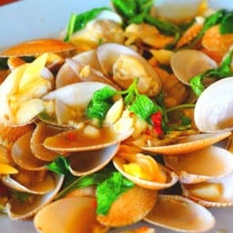 หอยลายผัดใบโหระพา