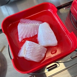 ปลาดอลลี่