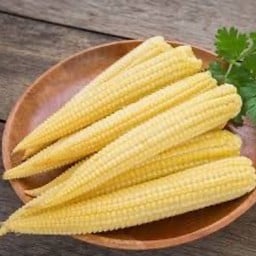 MENU_2892939ym_1724318914