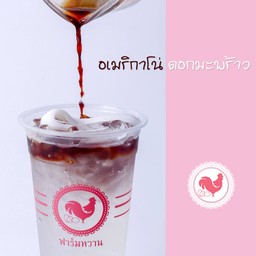 อเมริกาโน่น้ำช่อดอกมะพร้าว