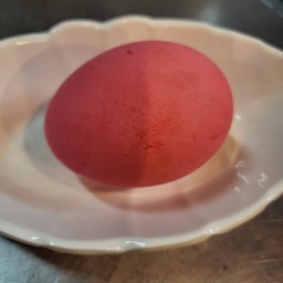 +ไข่เยี่ยวม้า