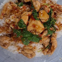 กะเพราไก่