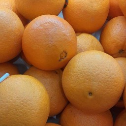 ผลไม้พร้อมทาน(สาขา2) ผลไม้พร้อมทานสาขา2