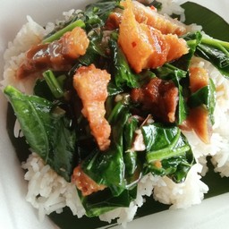 ข้าวราดผัดคะน้า