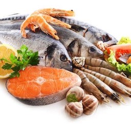 เพิ่มทะเล,กุ้ง,ปลาหมึก,หอย