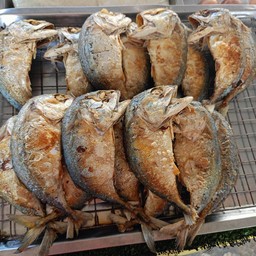 ปลาทูทอด