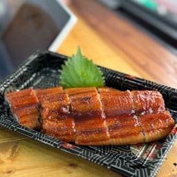 ปลาไหลญี่ปุ่น 1ตัว