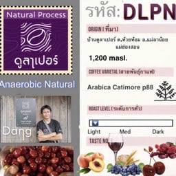 ดูลาเปอร์