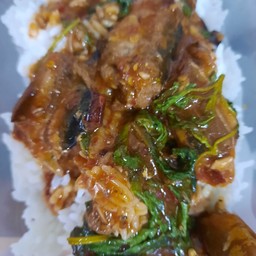 กะเพรา ปลากะป๋อง