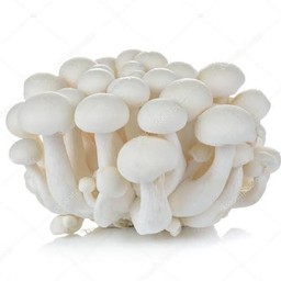 เห็ดชิเมจิ