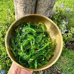 Seaweed Salad