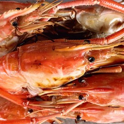 กุ้งใหญ่เผาครึ่งกิโล6-8ตัว หัวมันเยิ้ม