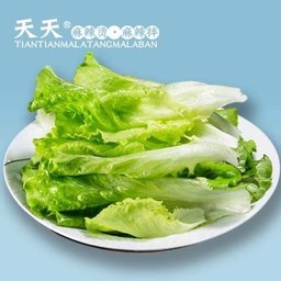 ผักสลัด 生菜