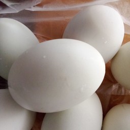 ไข่เค็มฟองละ