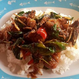 ร้านอาหารตามสั่งข้างแม็คโคสุมทรสาคร