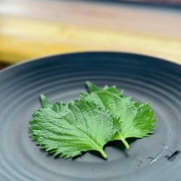 โอบะ 2 ใบ