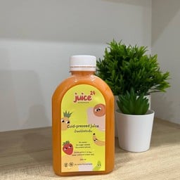 24 Juice homemade