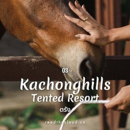 เย็นจิต รีสอร์ท (Yenjit Resort)