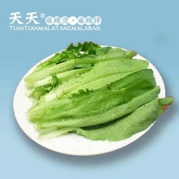 ผักคอส 油麦菜