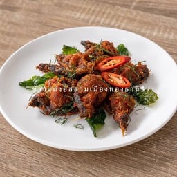 ปลาดุกกรอบผัดพริกขิง