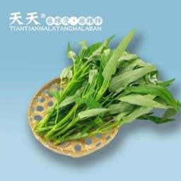 ผักบุ้ง 空心菜