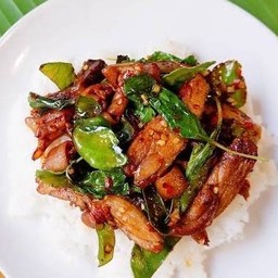 ข้าวผัดกระเพราเป็ด    (เป็ดเป็นชิ้นนะค่ะ)