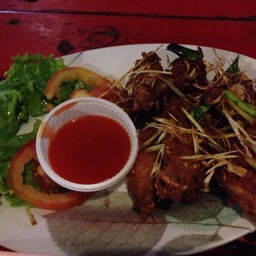 ปีกไก่ทอด.