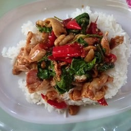กะเพราไก่