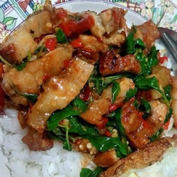 ผัดกระเพราหมูกรอบ(ราดข้าว)