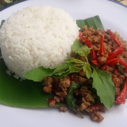 ผัดกระเพราหมูสับ