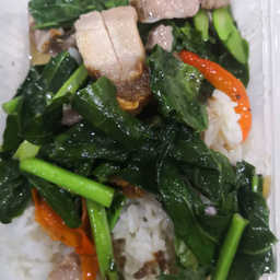 ข้าวคะน้าหมูหมัก