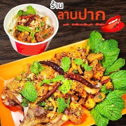 ร้านลาบปาก