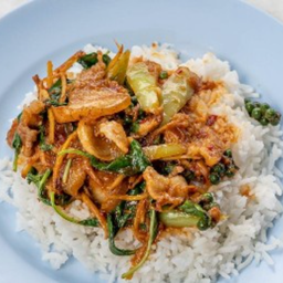 ผัดเผ็ดหมูป่าราดข้าว