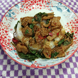 กระเพราหมูหมัก