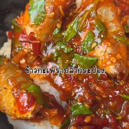 กะเพราปลากระป๋อง