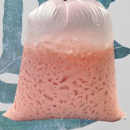 สตรอเบอร์รี่โยเกิร์ต