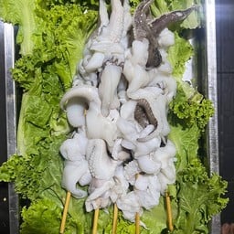 หัวหมึกกระดอง
