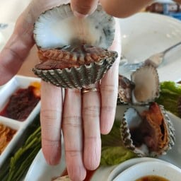 ต้นกินปู กินปู2อ่างศิลา