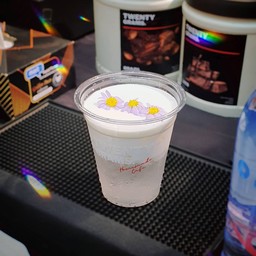 Coconut Cream Cheese Foam