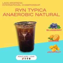 1. Drip - Typics Anarobic Natral