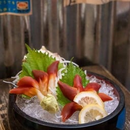 หอยปีกนก ซาชิมิ