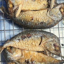 ปลาทูทอด