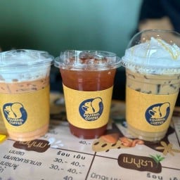 SQUIRREL COFFEE -