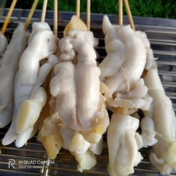 N หมึกย่าง