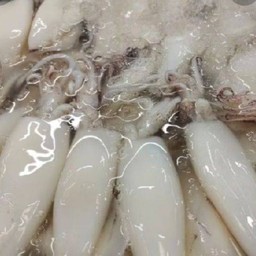 ปลาหมึกลอกหนัง