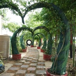 ทุ่งเกาะเทโพโอเค